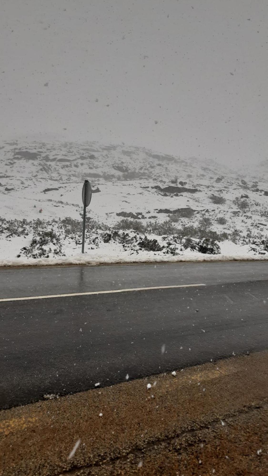 Serra Da Estrela - Casa Castro Gouveia  Ngoại thất bức ảnh